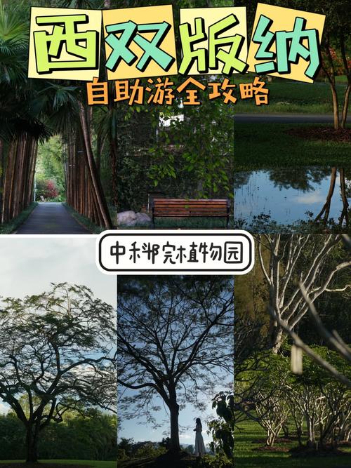 哪个网站的自助游旅游攻略较好,求推荐「国内旅游攻略网页推荐」 旅游指南 哪个网站的自助游旅游攻略较好,求推荐「国内旅游攻略网页推荐」 哪个网站的自助游旅游攻略较好,求推荐「国内旅游攻略网页推荐」 旅游指南